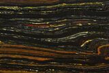 Polished Tiger Iron Stromatolite - Billion Years #129355-1